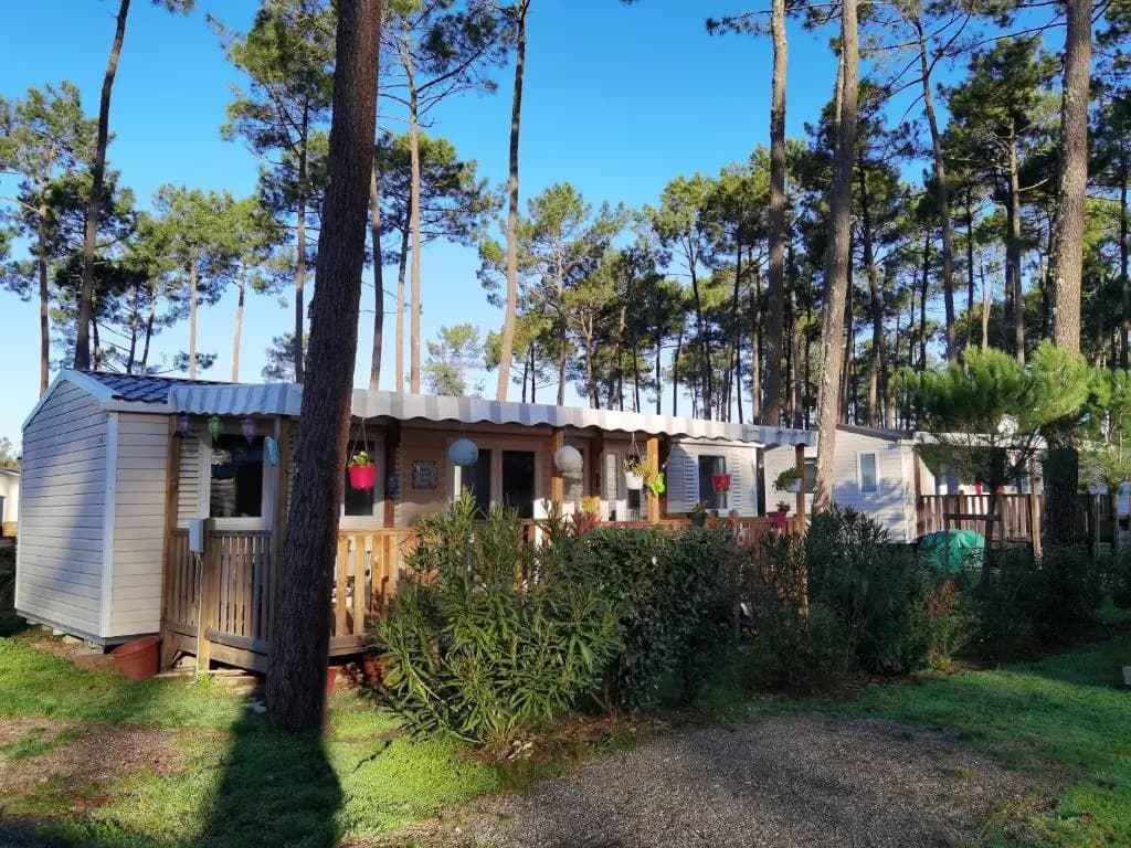 Bungalow de 3 chambres avec piscine partagee jardin amenage et wifi a Saint Julien en Born - Photo 2