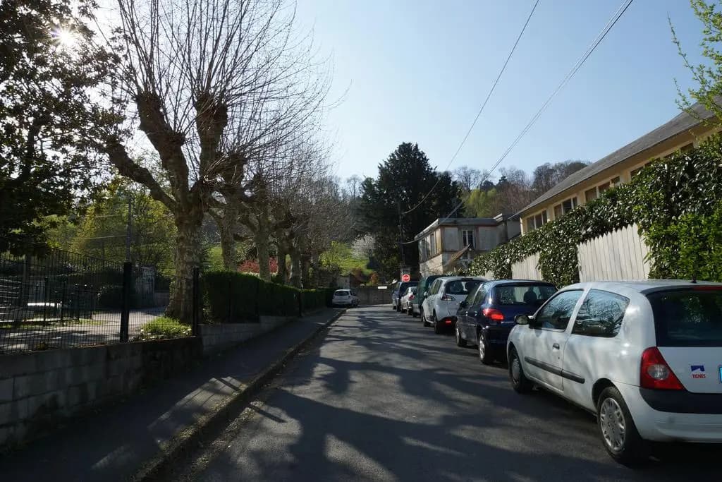 La salamandre - Photo 2
