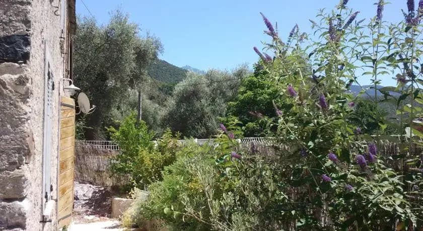 A Casa Orani - Miniature 6