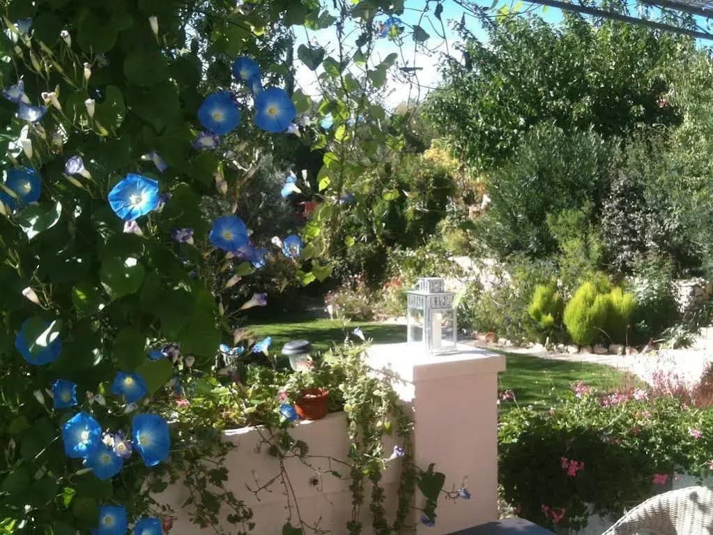 Le Clos du Jas - Miniature 7