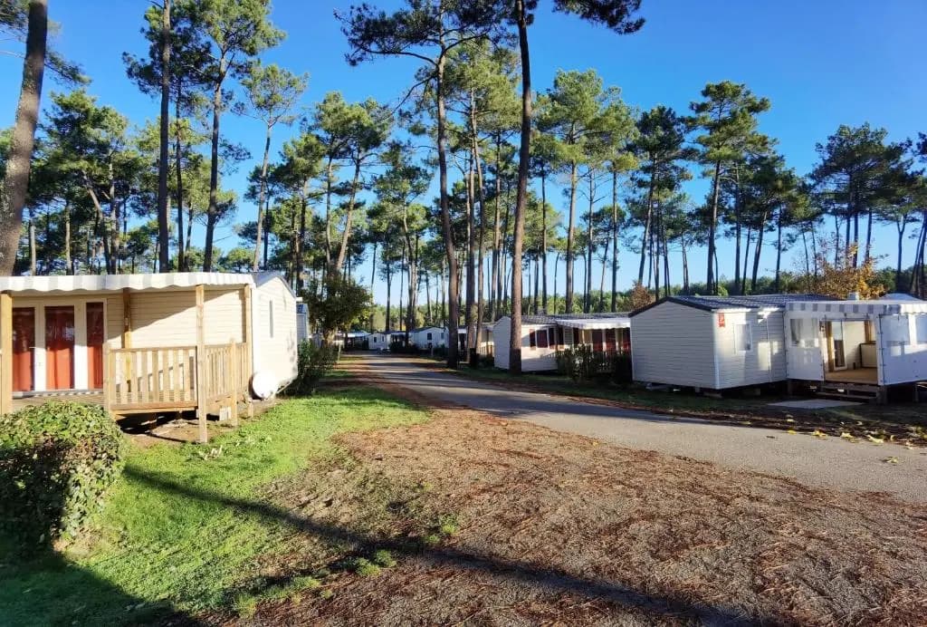 Bungalow de 2 chambres avec piscine partagee jardin amenage et wifi a Saint Julien en Born a 4 km de la plage - Miniature 8