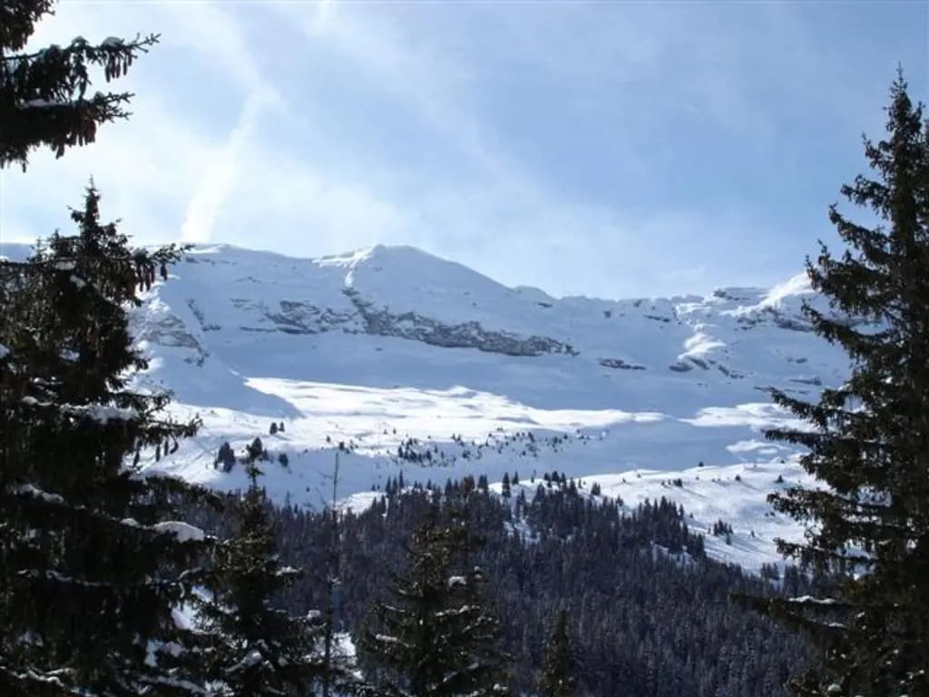 Appartement Flaine, 2 pièces, 5 personnes - FR-1-425-173 - Photo 5