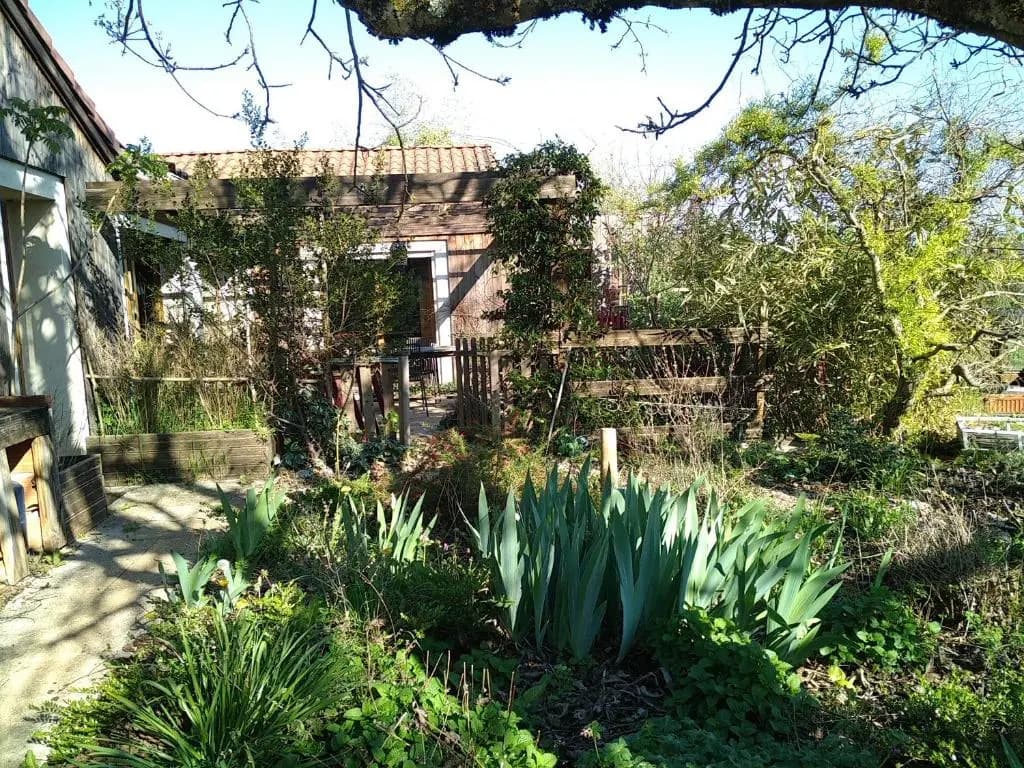 La Plogne - Photo 1