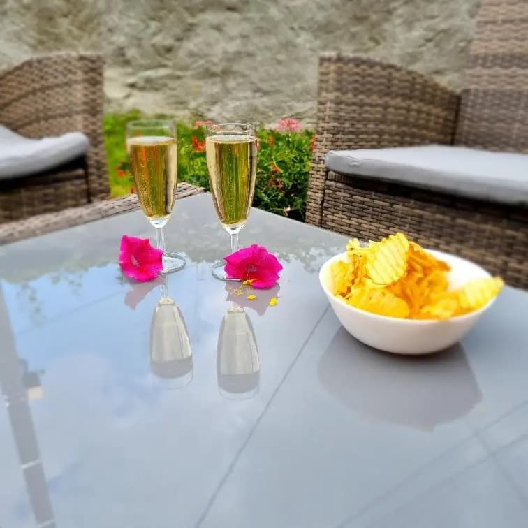 Gite Jonquille 2 à 8 personnes avec SPA - Photo 2
