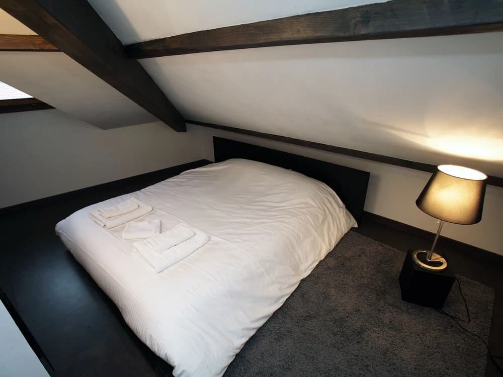 2 bd apartment with sauna- center Annecy - Photo 5