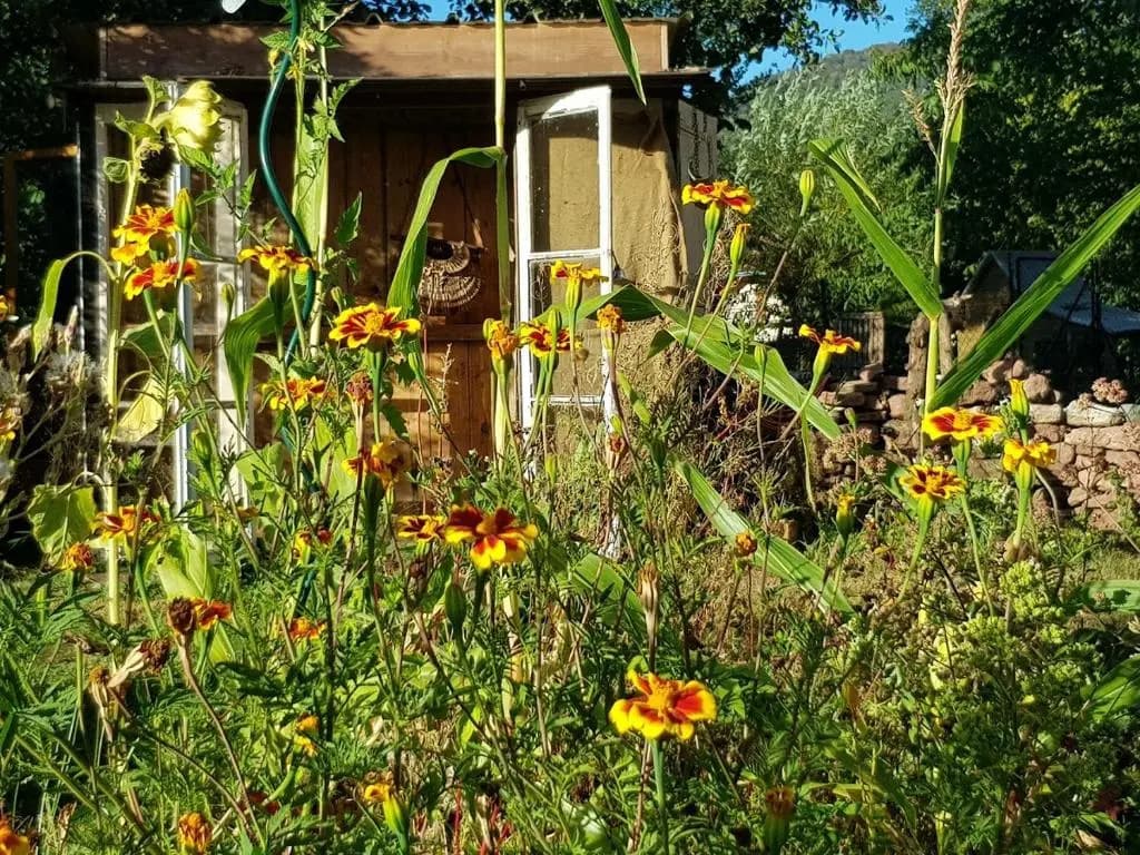 Le jardin des gouttes - Miniature 8