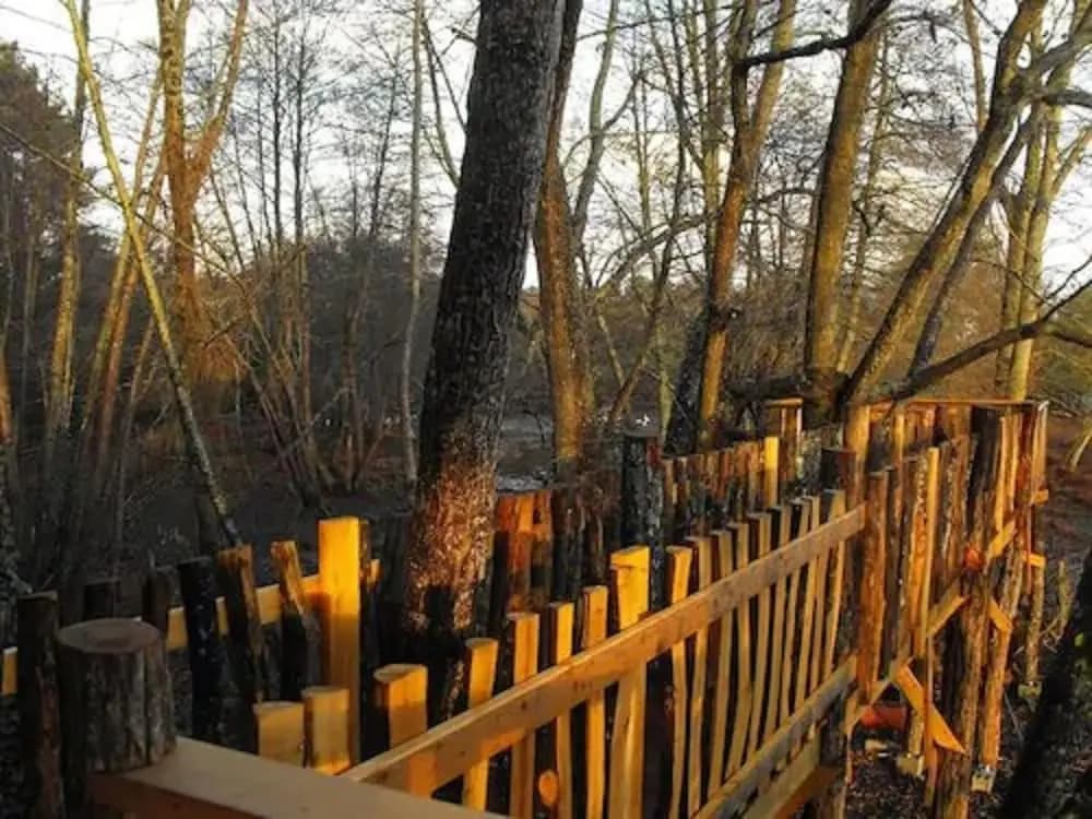 Cabane des cerfs - Photo 4