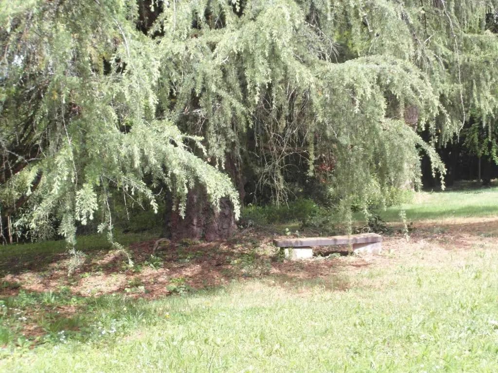 Le 22 - Miniature 7