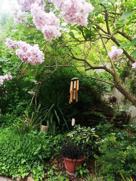 La Petardire - Photo 2