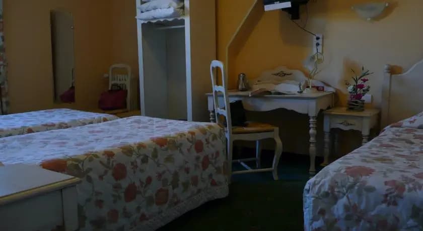 Hôtel Au Lion D'or - Photo 2