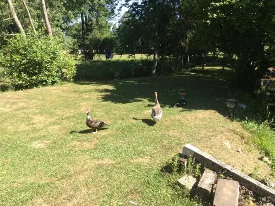 Le Moulin Fargan - Photo 1