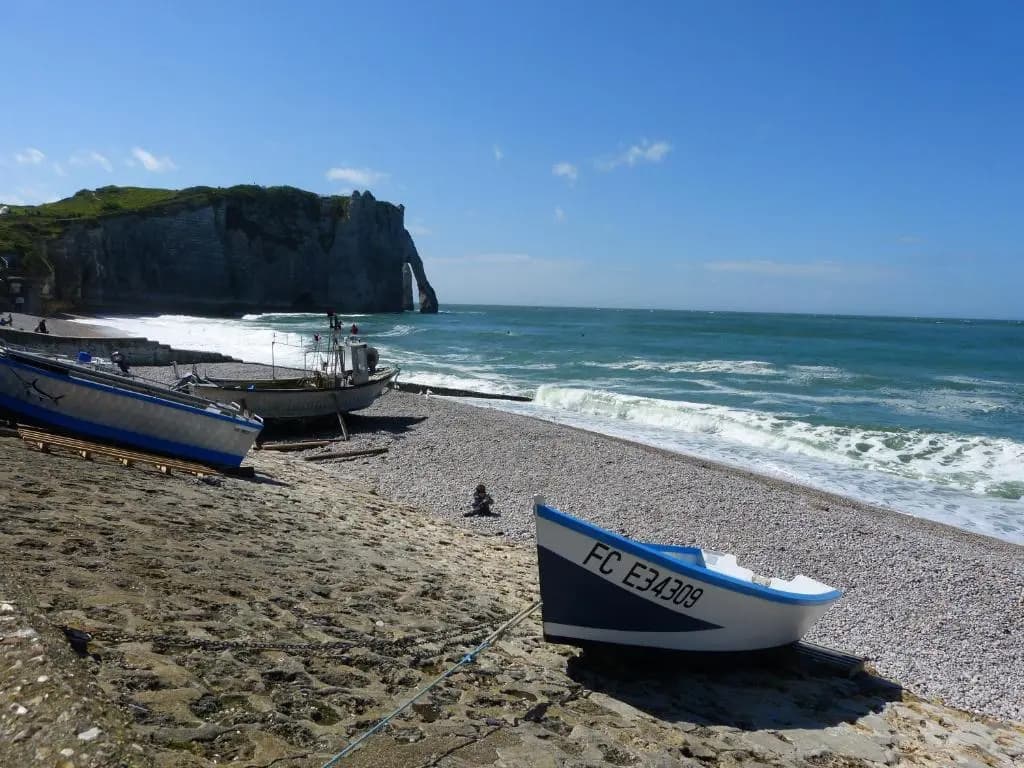 La Flore Marine - Photo 3