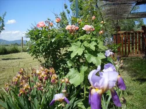 Gîte Harmony - Photo 2