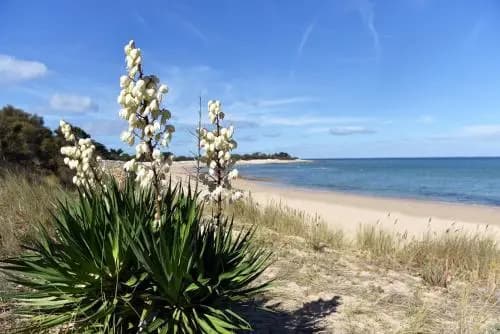 Le Phare - Miniature 7