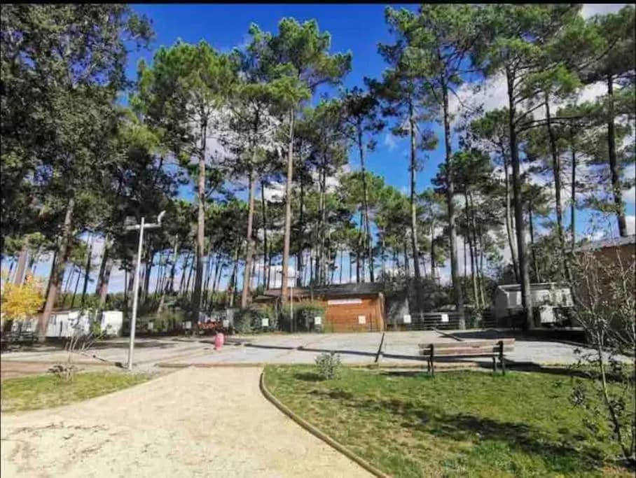 Neuf 2022, 6-8 personnes, piscine, vacancesdenani - Photo 1