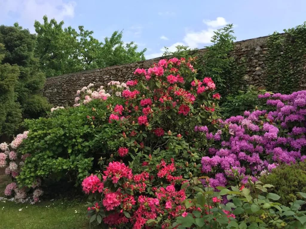 Domaine des trois châteaux - Photo 3