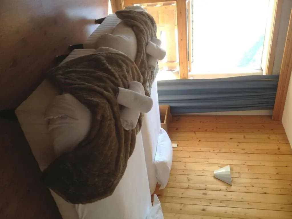 Hôtel de la Vanoise - Photo 2