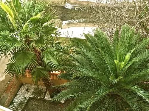 residence Azur les bains - Miniature 7