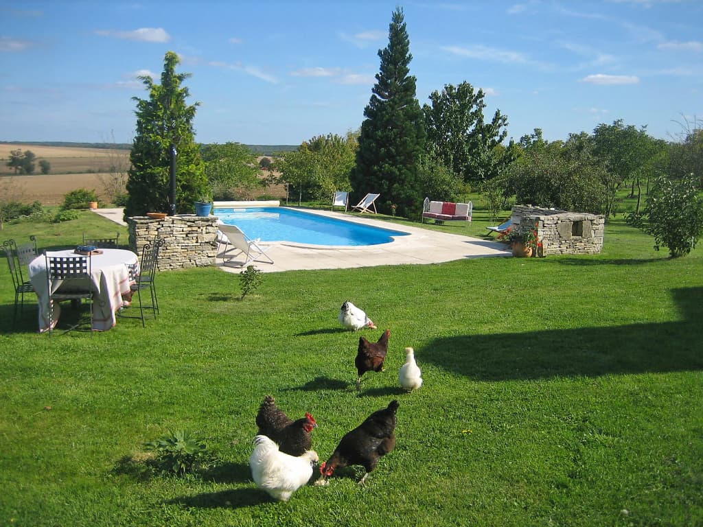 Les Glycines - Miniature 8