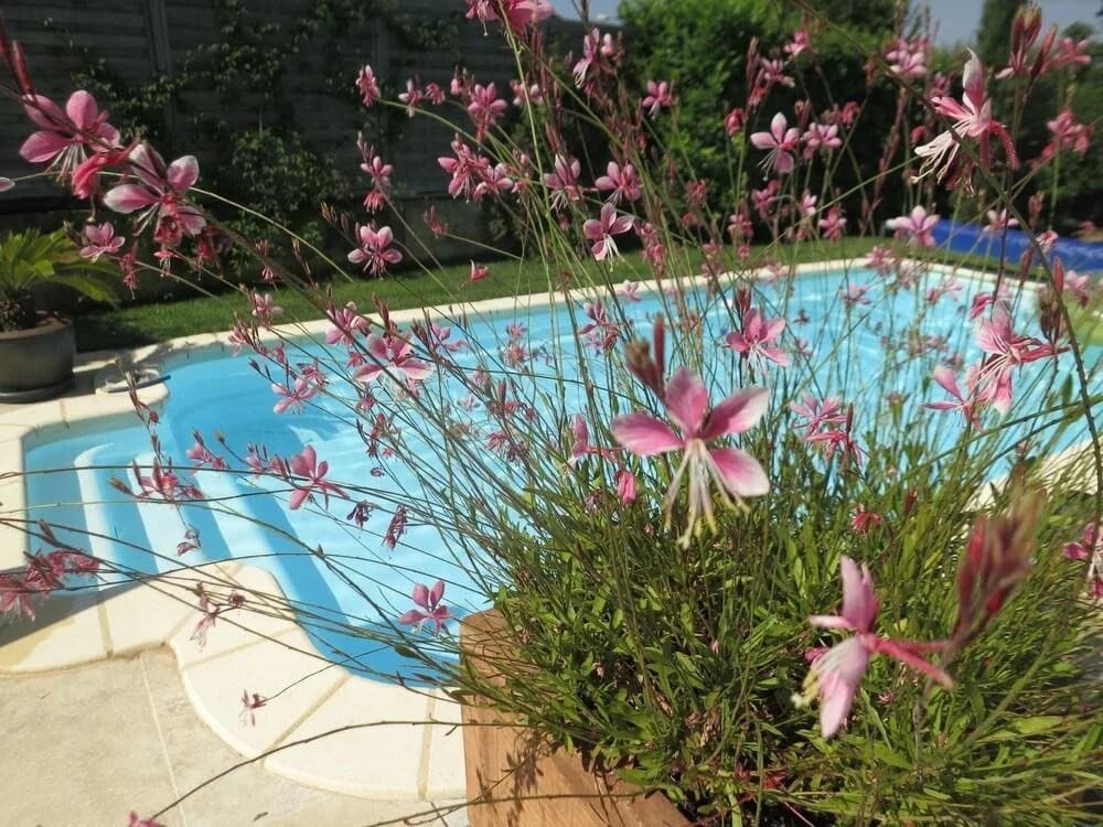 Happy Days en Provence - Photo 4