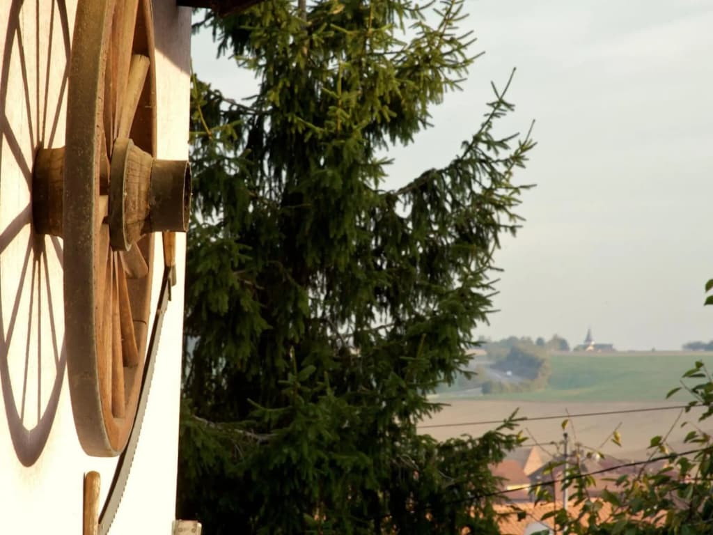 Flat in Alsace Near Vosges Nature Park - Miniature 8