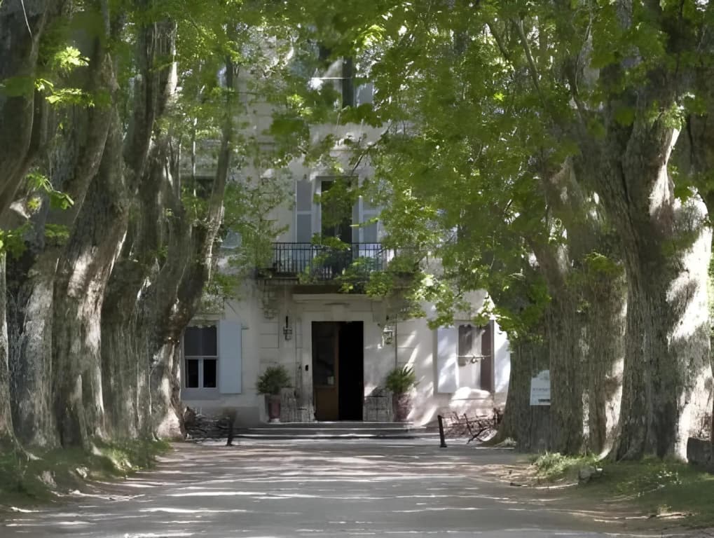 Le Château des Alpilles 5* - Miniature 8