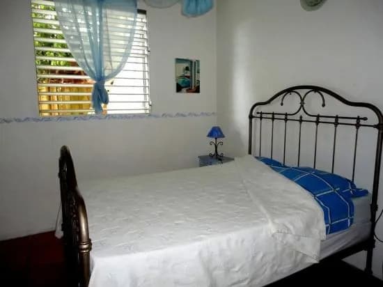 Caraiba - Photo 2