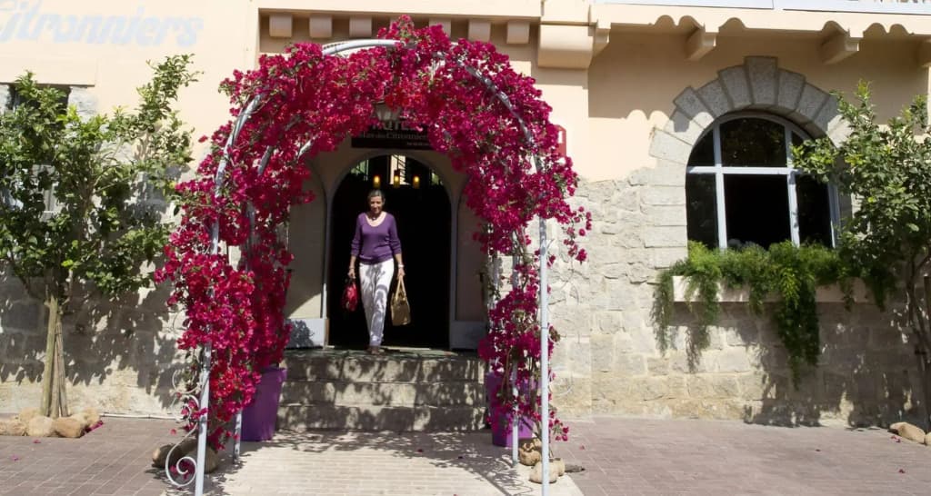 Hôtel Le Mas des Citronniers - Photo 1