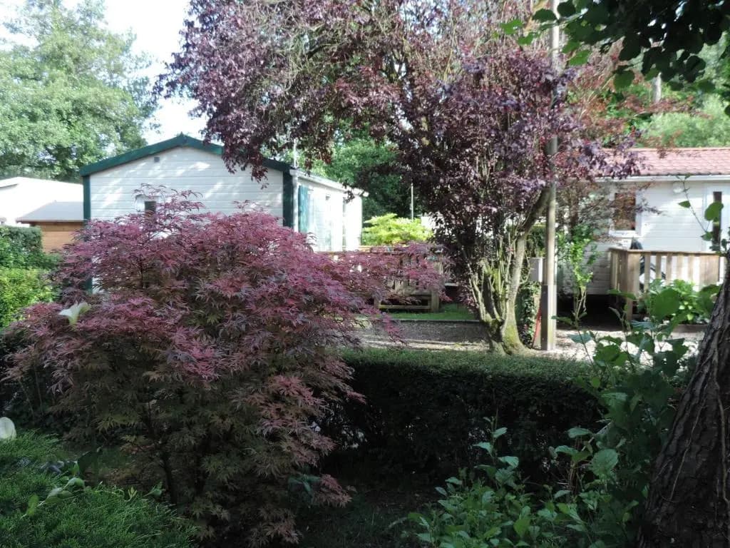 Caravaning Les Tourterelles - Photo 5