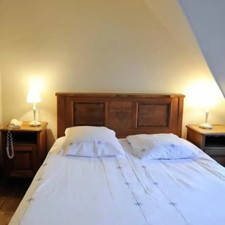 Hôtel La Résidence Manoir de La Salamandre - Photo 4
