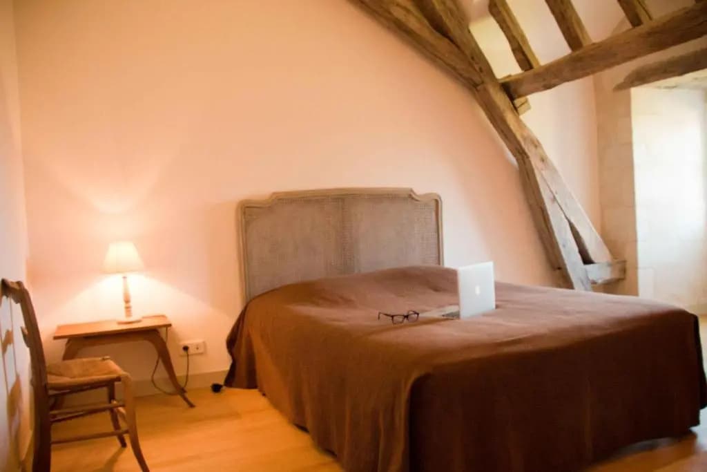 SURPRENANTES - Château du Pé - Photo 4