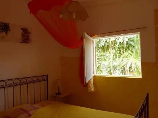 Caraiba - Photo 4