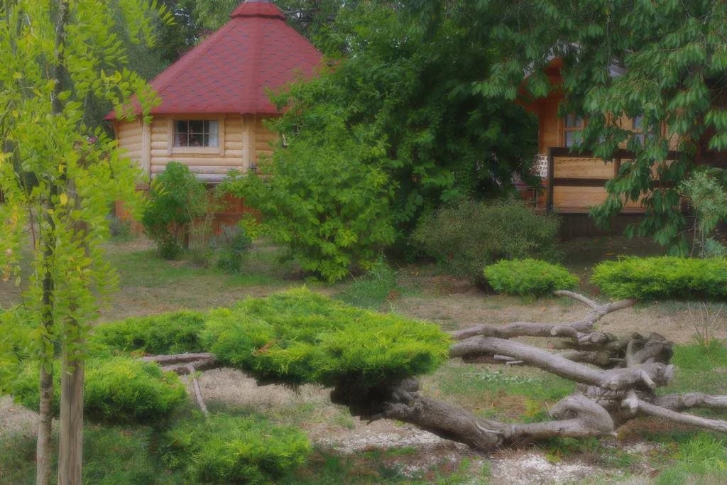 Le jardin des cigognes - Miniature 8