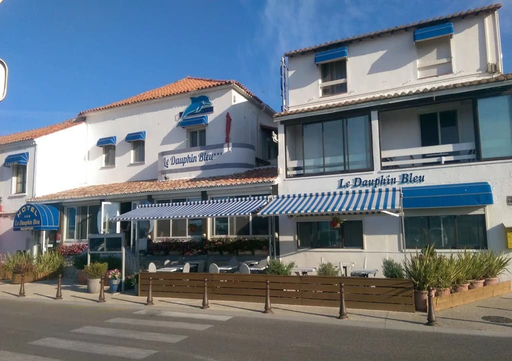 Hôtel Le Dauphin Bleu - Photo 1