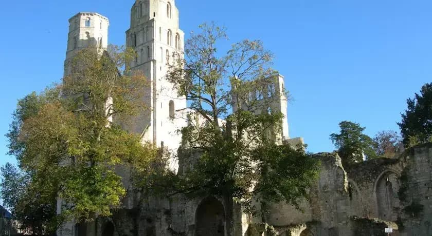 La Glycine - Photo 1