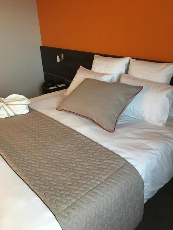 Alexander Park Chambéry Hotel - Photo 5