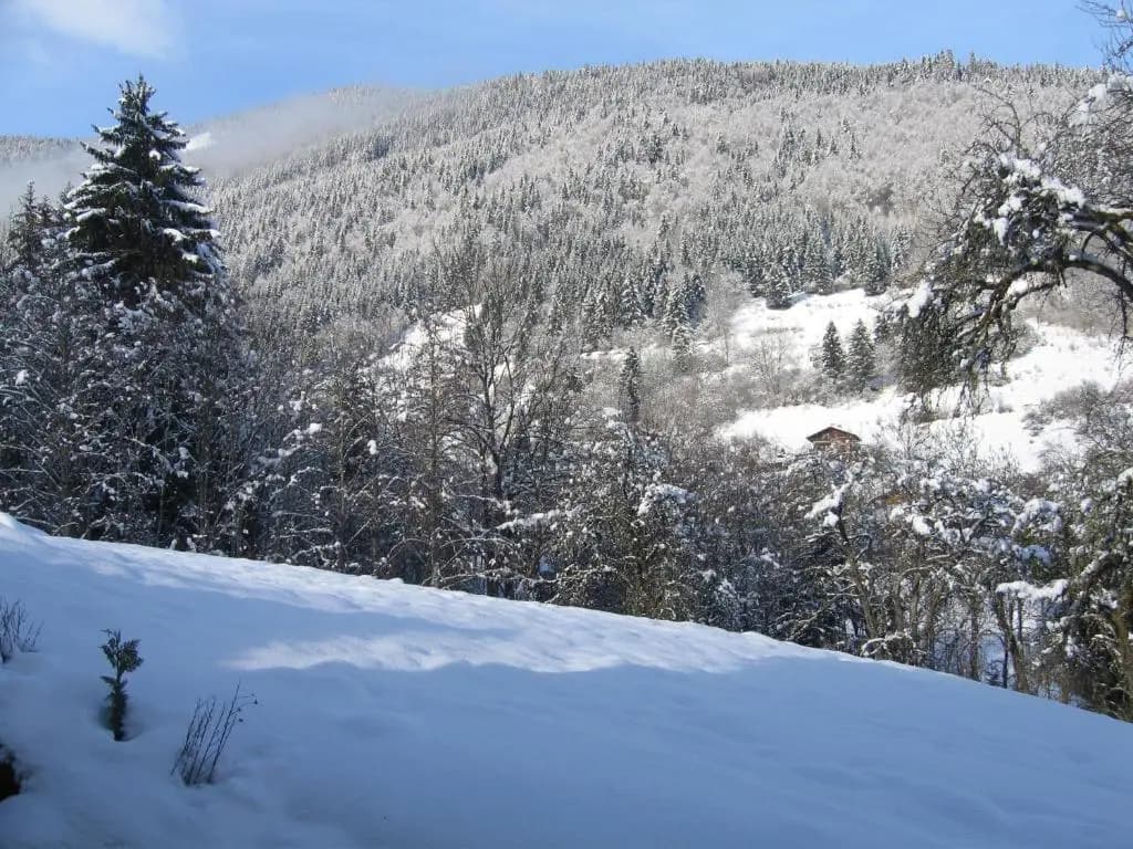 Appartement Borne - Photo 2