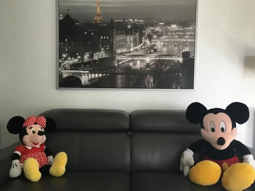 F&B's Home Disney - Photo 2