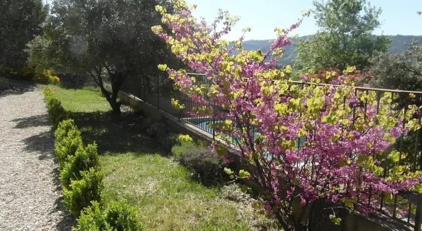 Holiday Home Aubignane Le Mas des Oliviers - Photo 4