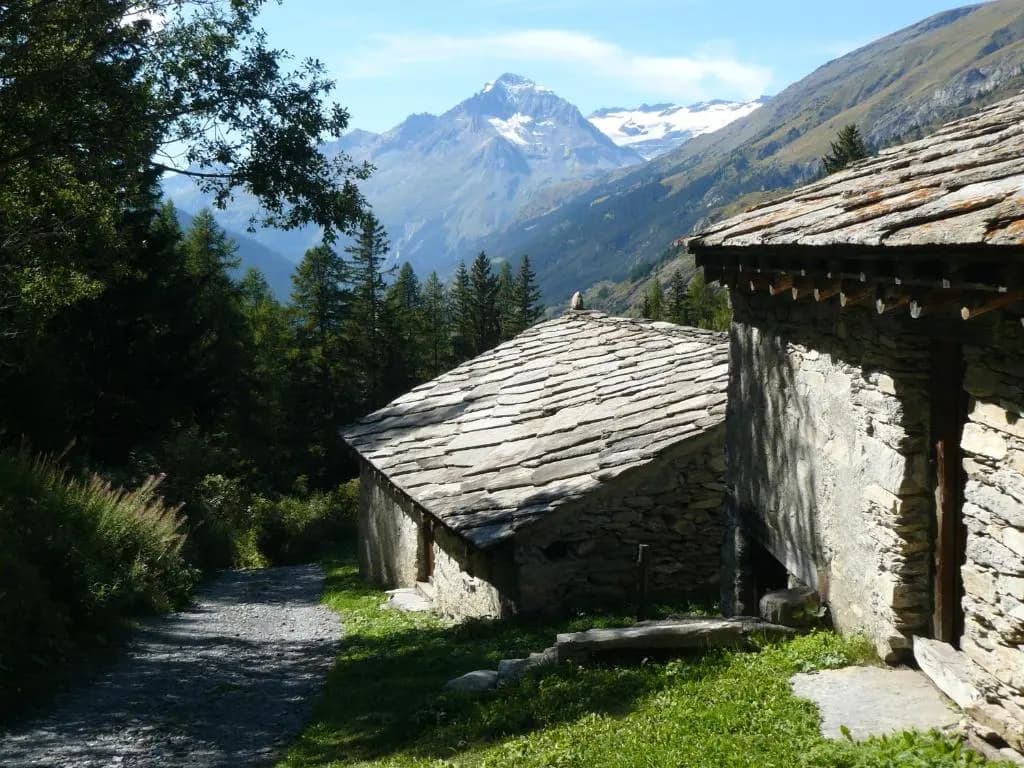 le burel la triade 4 personnes - Photo 5