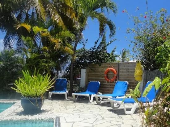 Caraiba - Miniature 6