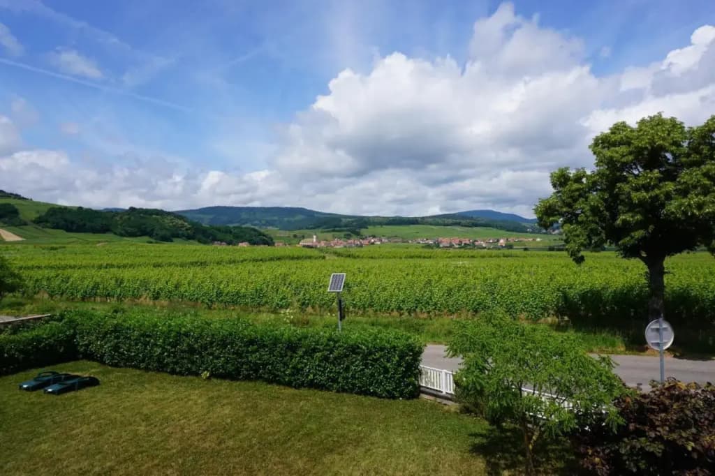 Le clos des vignes - Miniature 8