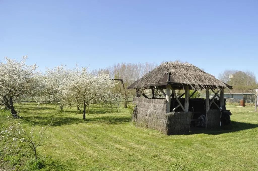 Les rouches - Photo 1