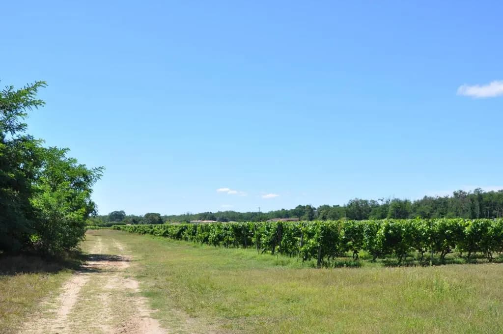 Clos San Gianni - Photo 4