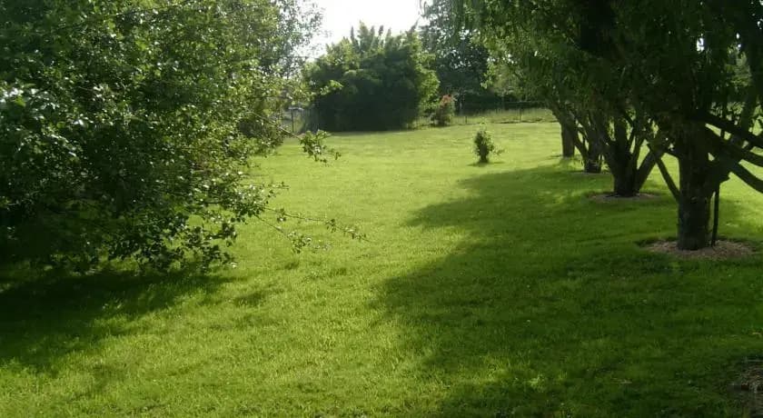 L'Espace paisible - Photo 5