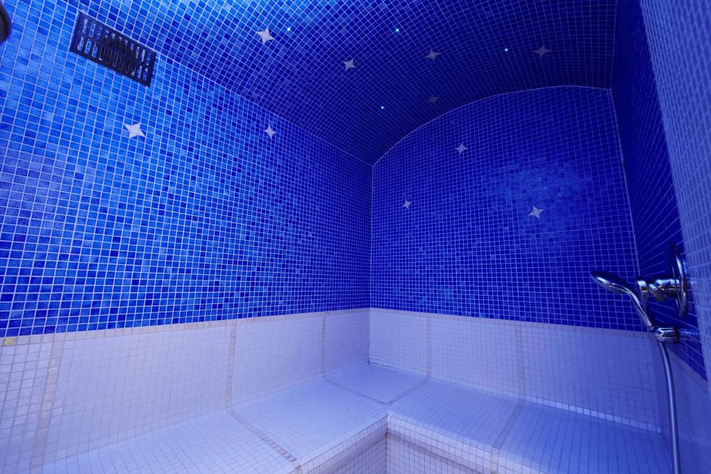 Best Western Plus Au Cheval Blanc Mulhouse Nord - Miniature 8