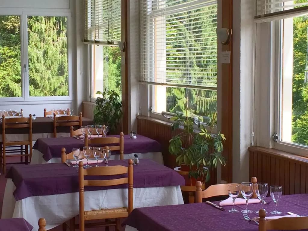Hotel Resaurant Fontaine Stanislas - Photo 1