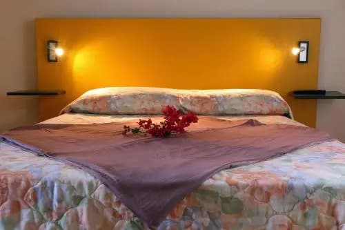 Residence Eglantine - Photo 2