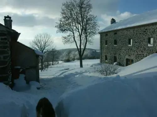 L'Herminette - Photo 2