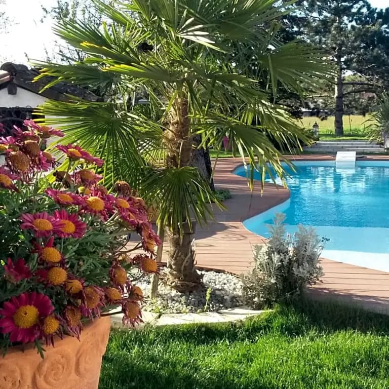 Le Clos de Saint Amour - Photo 5
